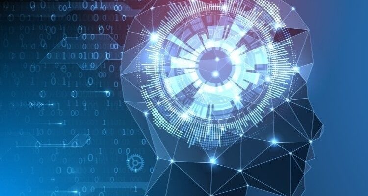 شبکه های عصبی