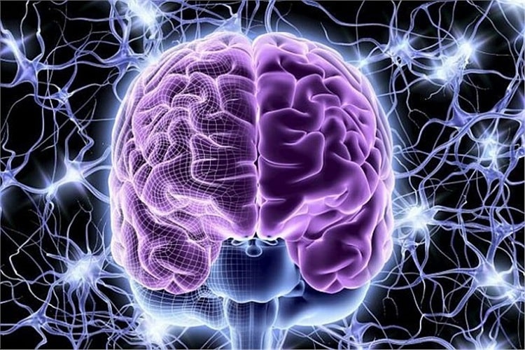 انواع لایه ها در شبکه های عصبی