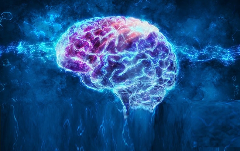 لایه های پرکاربرد و تخصصی در شبکه های مدرن