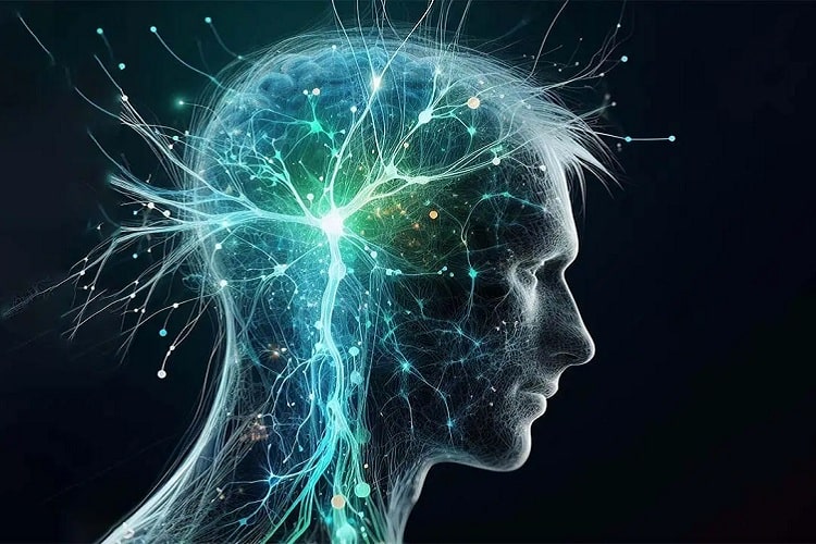 مفهوم الگوریتم های شبکه های عصبی چیست؟